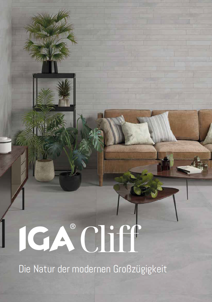 IGA Cliff - Flyer